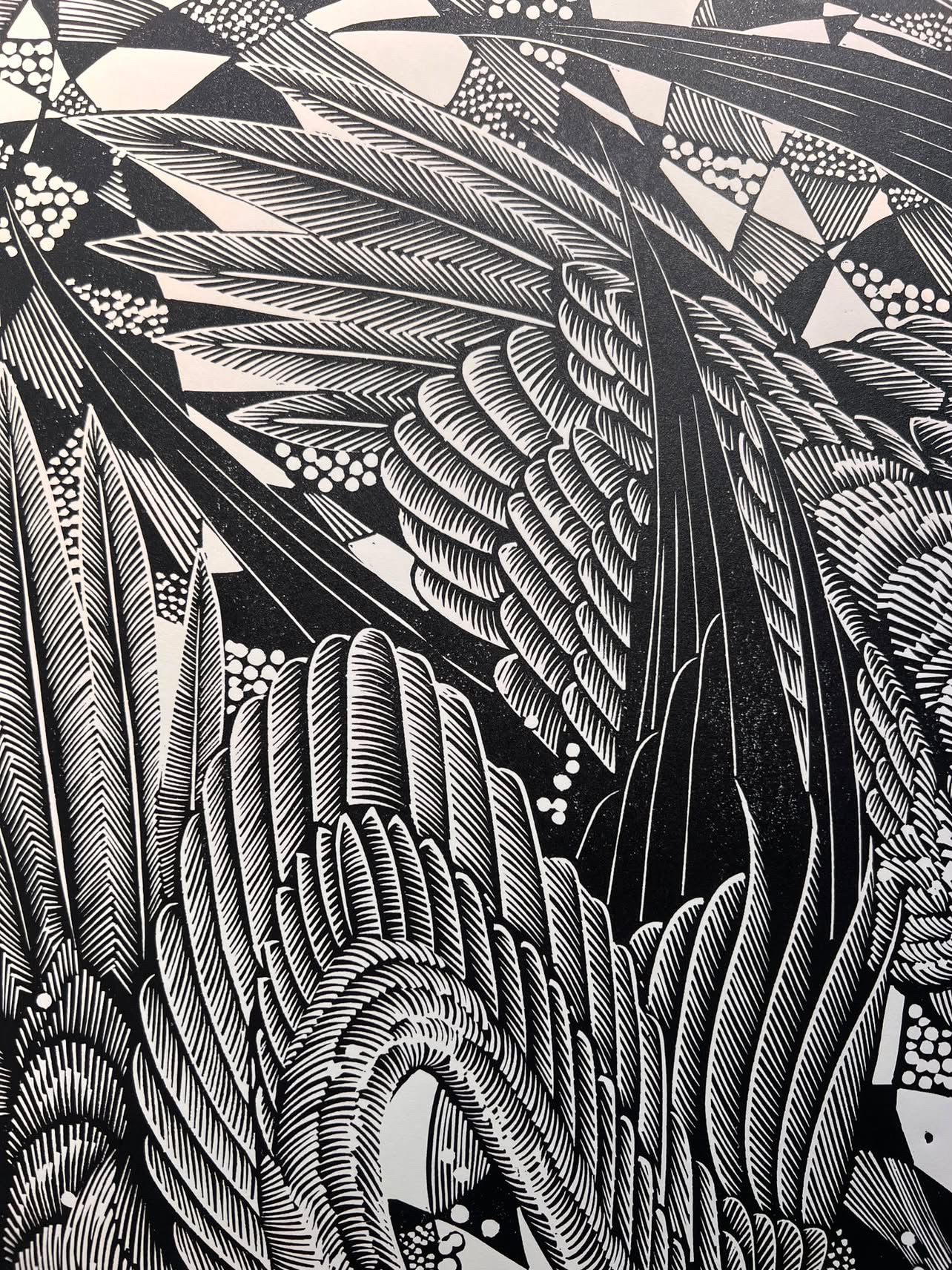 Bird Lino